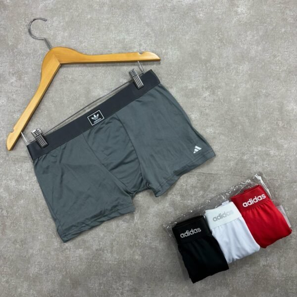 Cueca Básica – Teste (cópia)